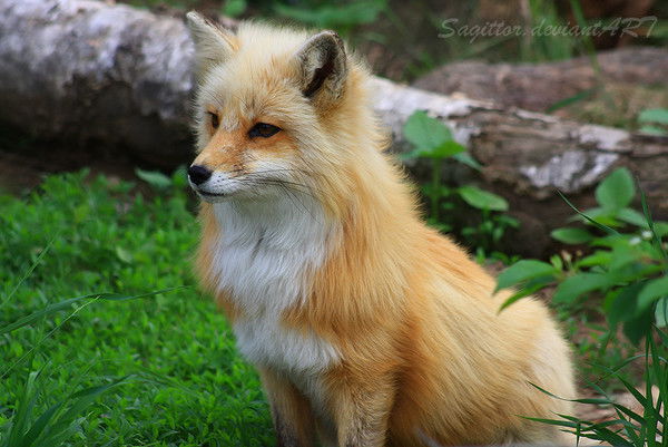 Екатерина Таянова