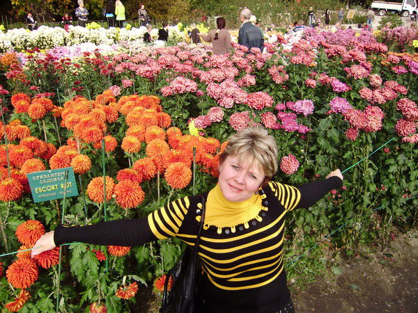 Елена Челомбитько