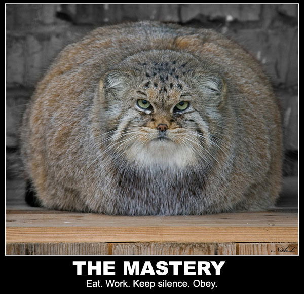 Вадим Никифоров