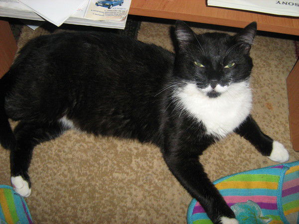 Алексей Сизёв