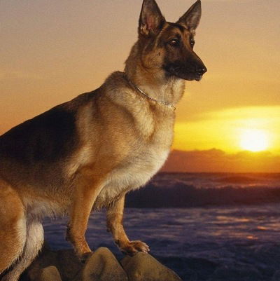 Анастасия Попова