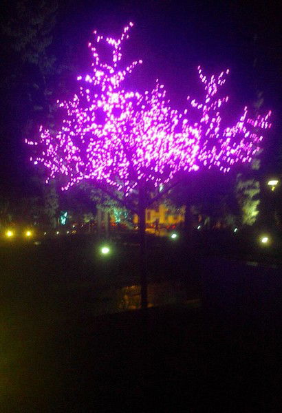 Галя Афанасьева