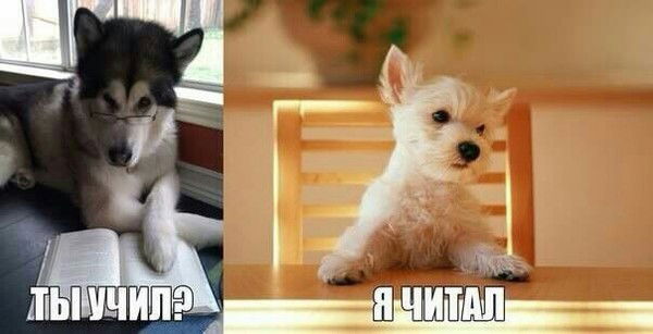 Дашка Лабутина