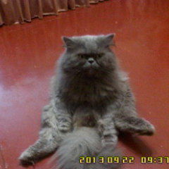 Александр Додонов