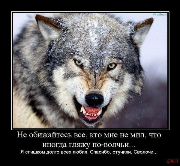 Виктор Чертенок