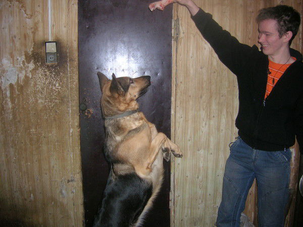 Илья Куликов