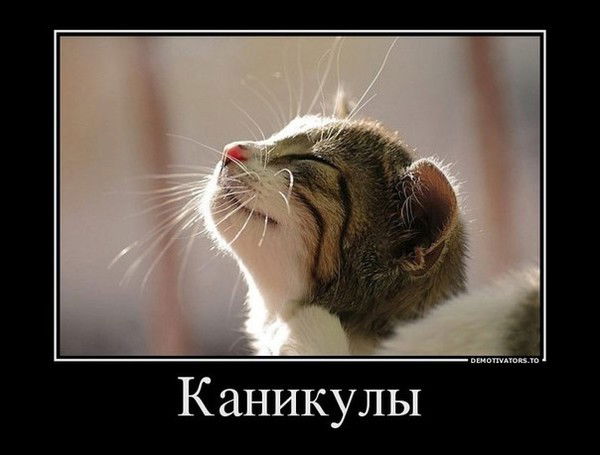 Светлана Нос