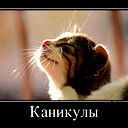 Светлана Нос