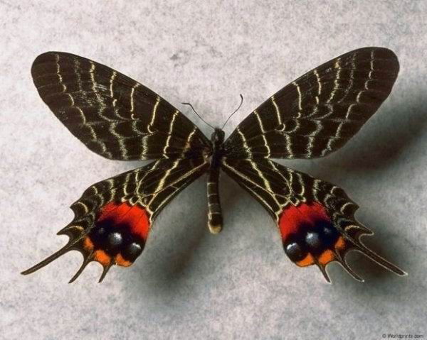 Маргарита Сорокина