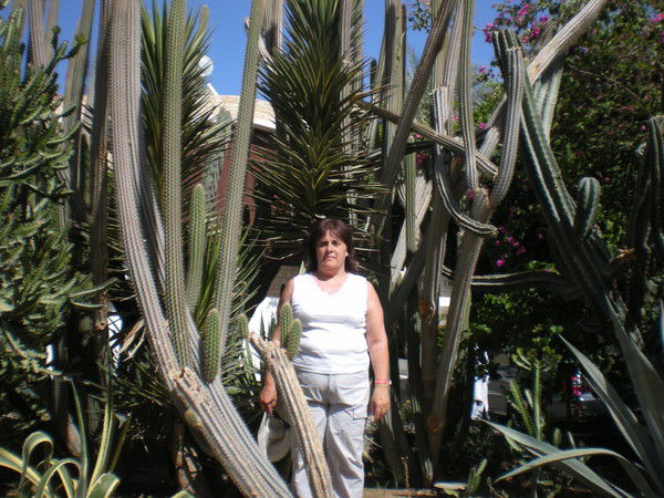 Галина Казакова