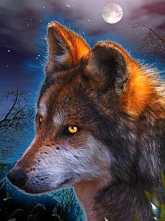 Владимир Туртаев