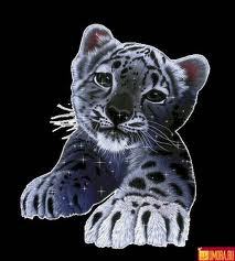 Зоя Литвинова