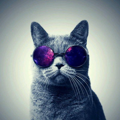 Азизбек Зубку