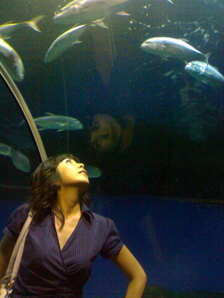 Динара Иржанова