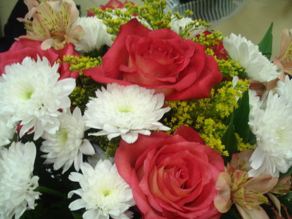 Ирина Машекина