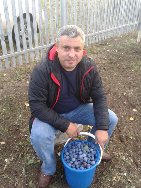 Геннадий Франк