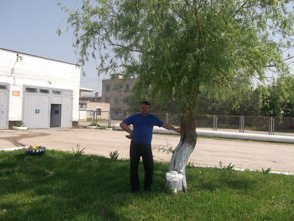 Владимир Владимир