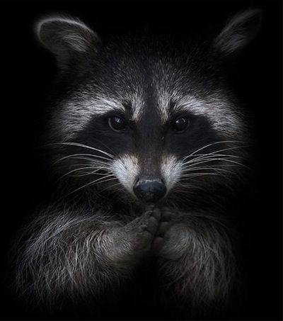 Екатерина Ковырзина