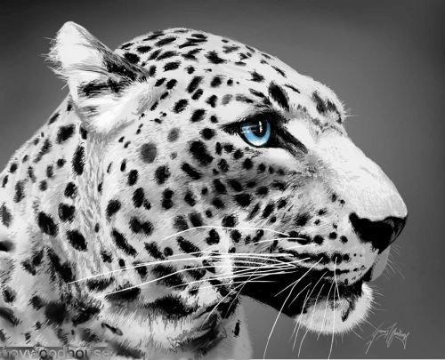 Маргарита Лушникова