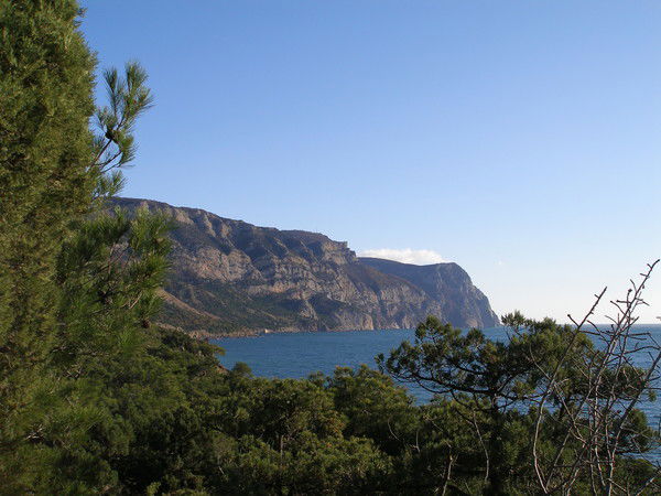 Власова Алла