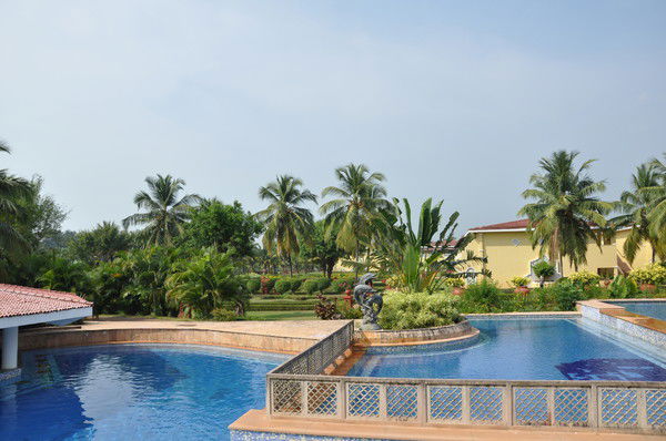 Ирина Кальман