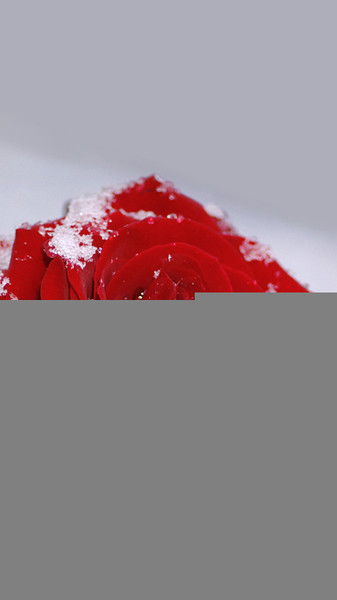 Татьяна Ходосова