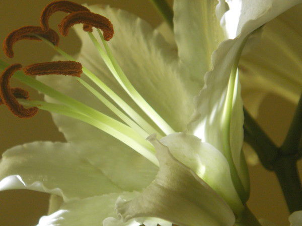 Наталия Филимонова