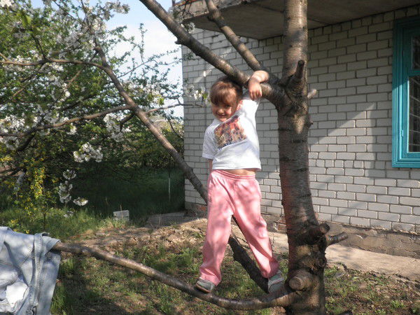 Дмитрий Тронь