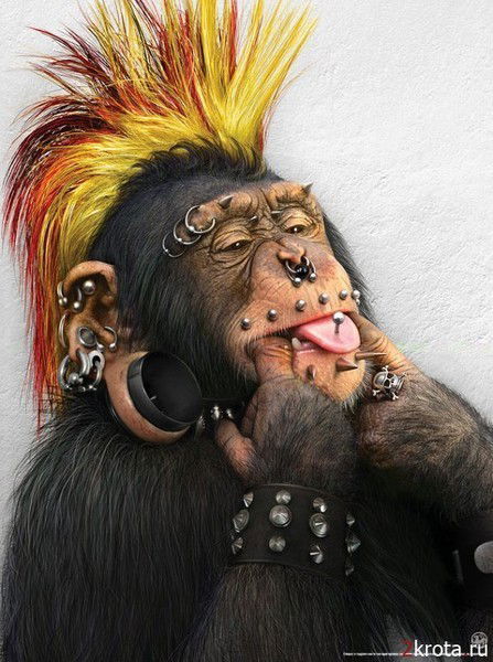 Виктор Летов