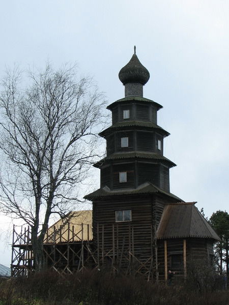 Елена Дудник