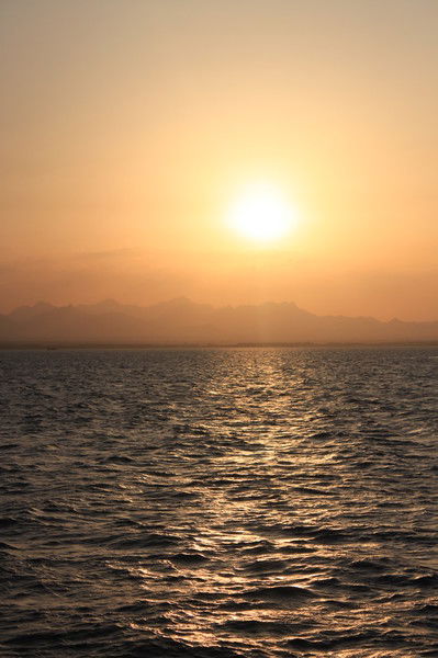 Наталья Глушкова