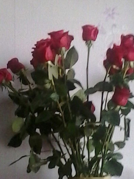 Сауле Шегирбаева