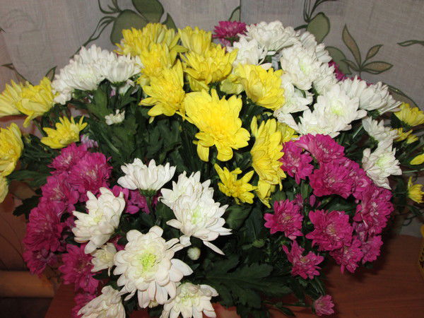 Евсинское Сельское Поселение