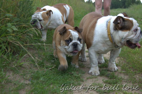 Люда Якубовская