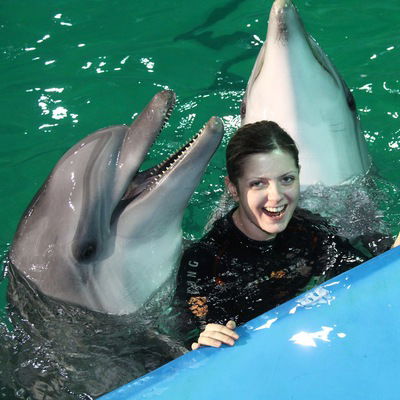 Лисенок Лис