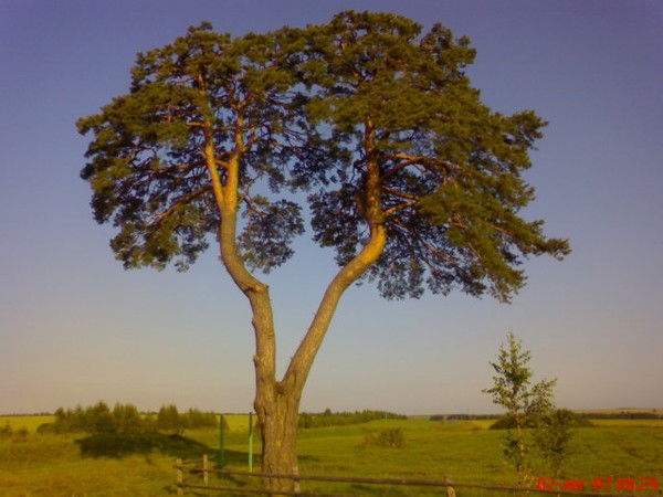 Кальтяевский Сельсовет
