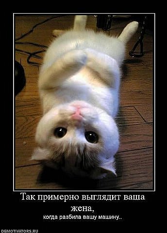 Адиля Ахунова