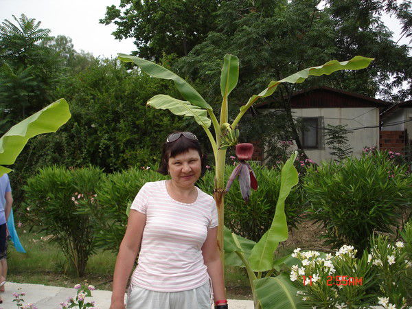 Альфия Баймуратова