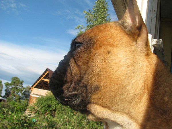 Родион Стаценко