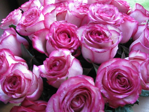 Оксана Тарасенко