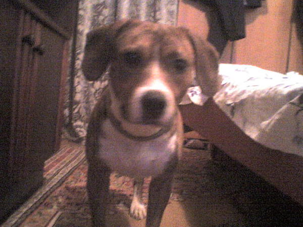 Артём Мальченко