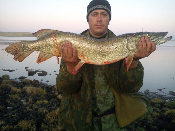 Денис Метелев