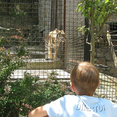 Артем Григоренко