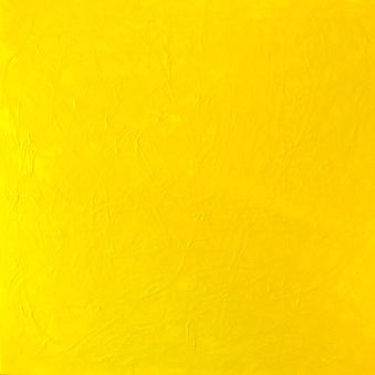 Виктория Бечина