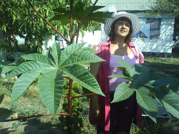 Лидия Рубан