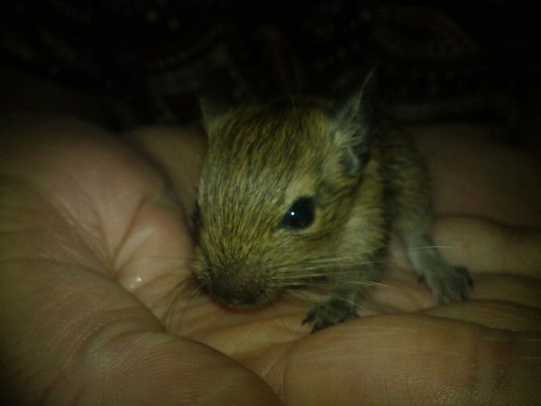 Александр Назаров