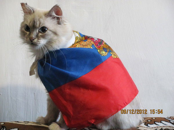 Александр Кочнев