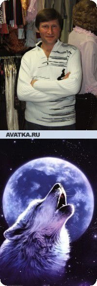 Дмитрий Рогов