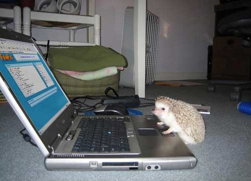 Евгений Егоров