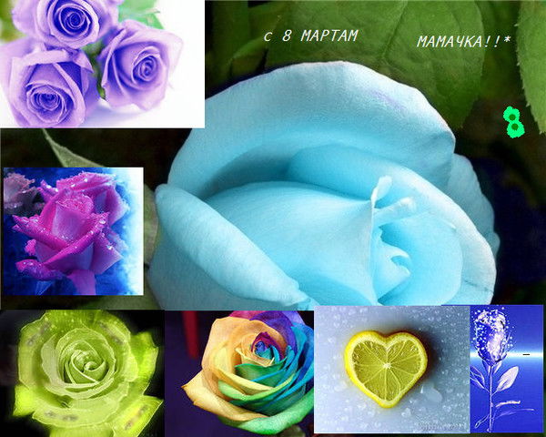 Слинкина Наталья